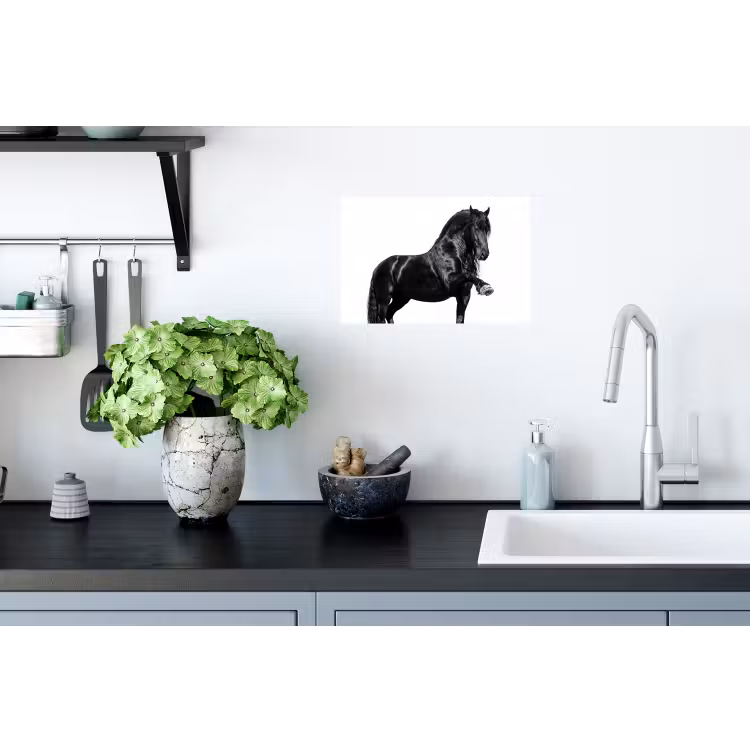 Muursticker - Fries - Hengst - Modern — 2