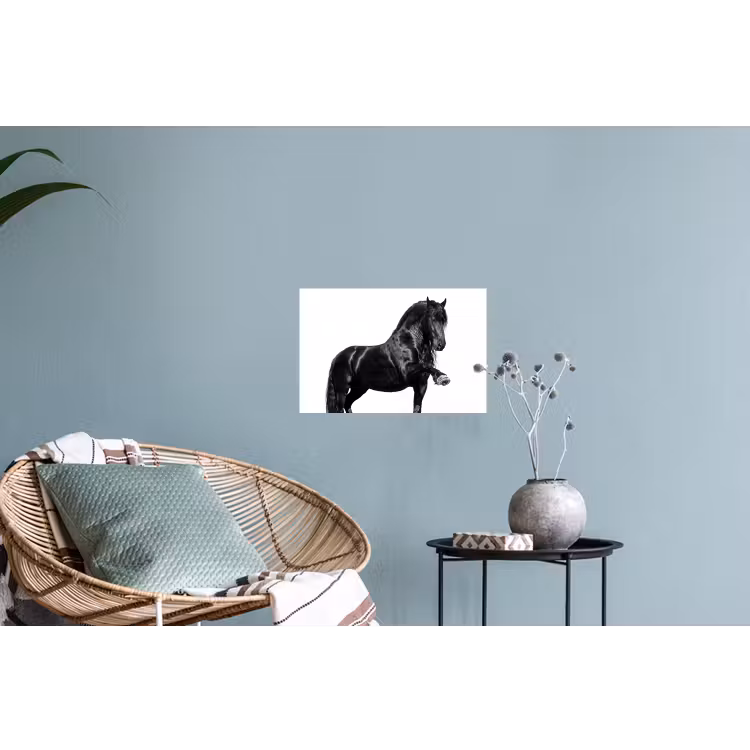 Muursticker - Fries - Hengst - Modern — 4