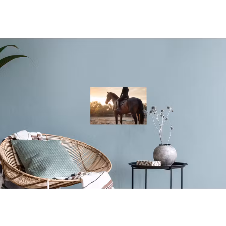 Muursticker - Harmonie - Ruiter - Zon — 4