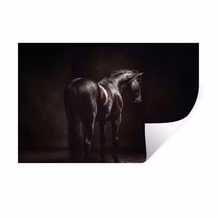 Muursticker - Krachtig - Paard - Donker — 1