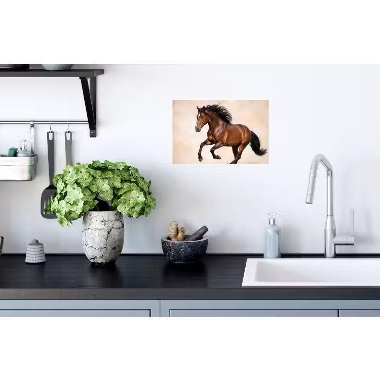 Muursticker - Paard - Galop - Energie — 2