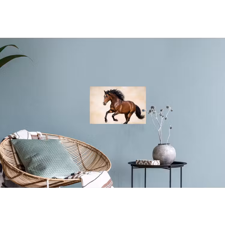 Muursticker - Paard - Galop - Energie — 4