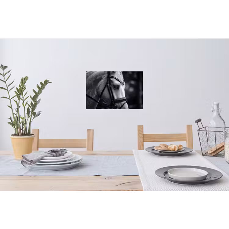 Muursticker - Paard - Schimmel - Portret — 3