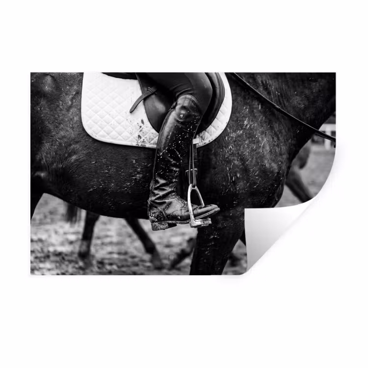 Muursticker - Paard - Sport - Zwart - Wit — 1