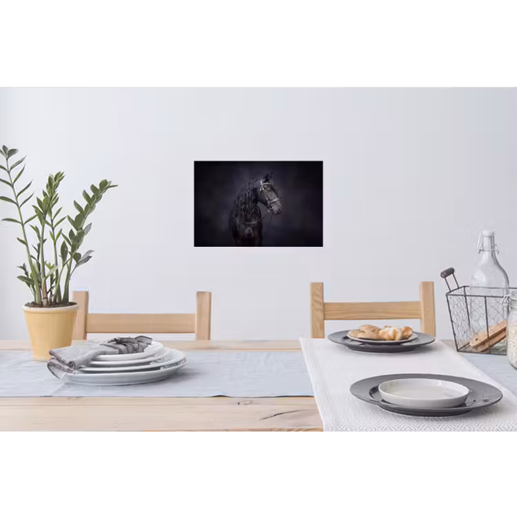 Muursticker - Portret - Paard - Donker — 3