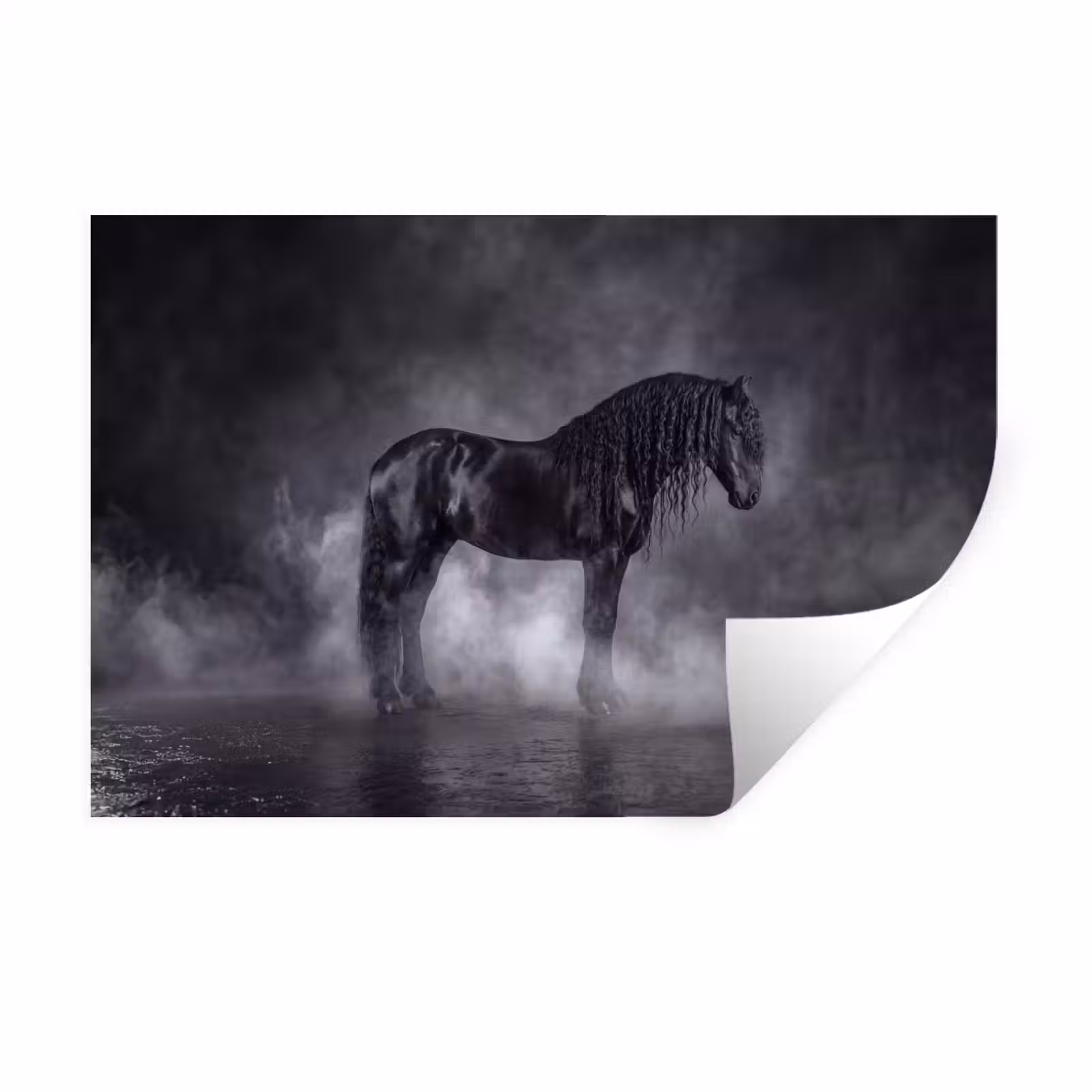 Muursticker - Paard - Magisch - Zwart — 1