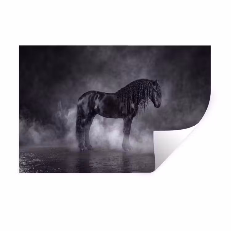 Muursticker - Paard - Magisch - Zwart — 1