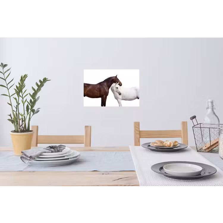 Muursticker - Paard - Modern - Balans — 3