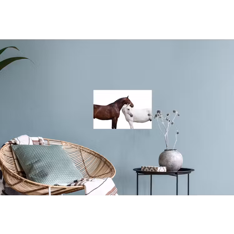 Muursticker - Paard - Modern - Balans — 4