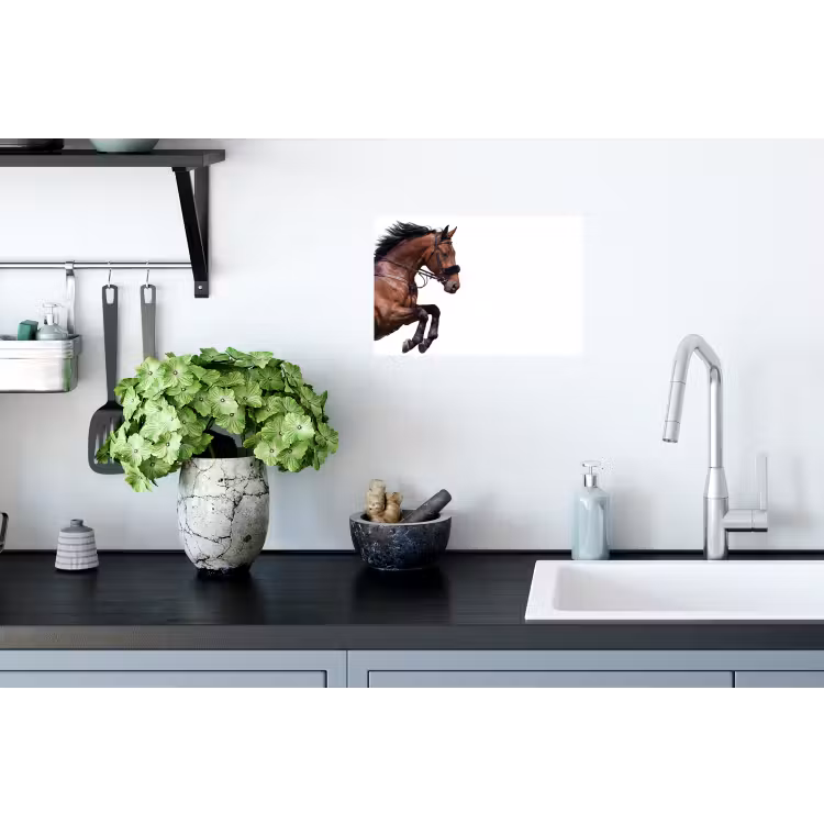 Muursticker - Paard - Springen - Modern — 2
