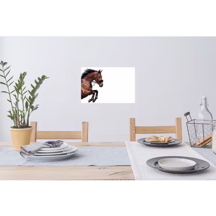 Muursticker - Paard - Springen - Modern — 3