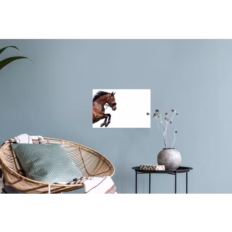 Muursticker - Paard - Springen - Modern — 4