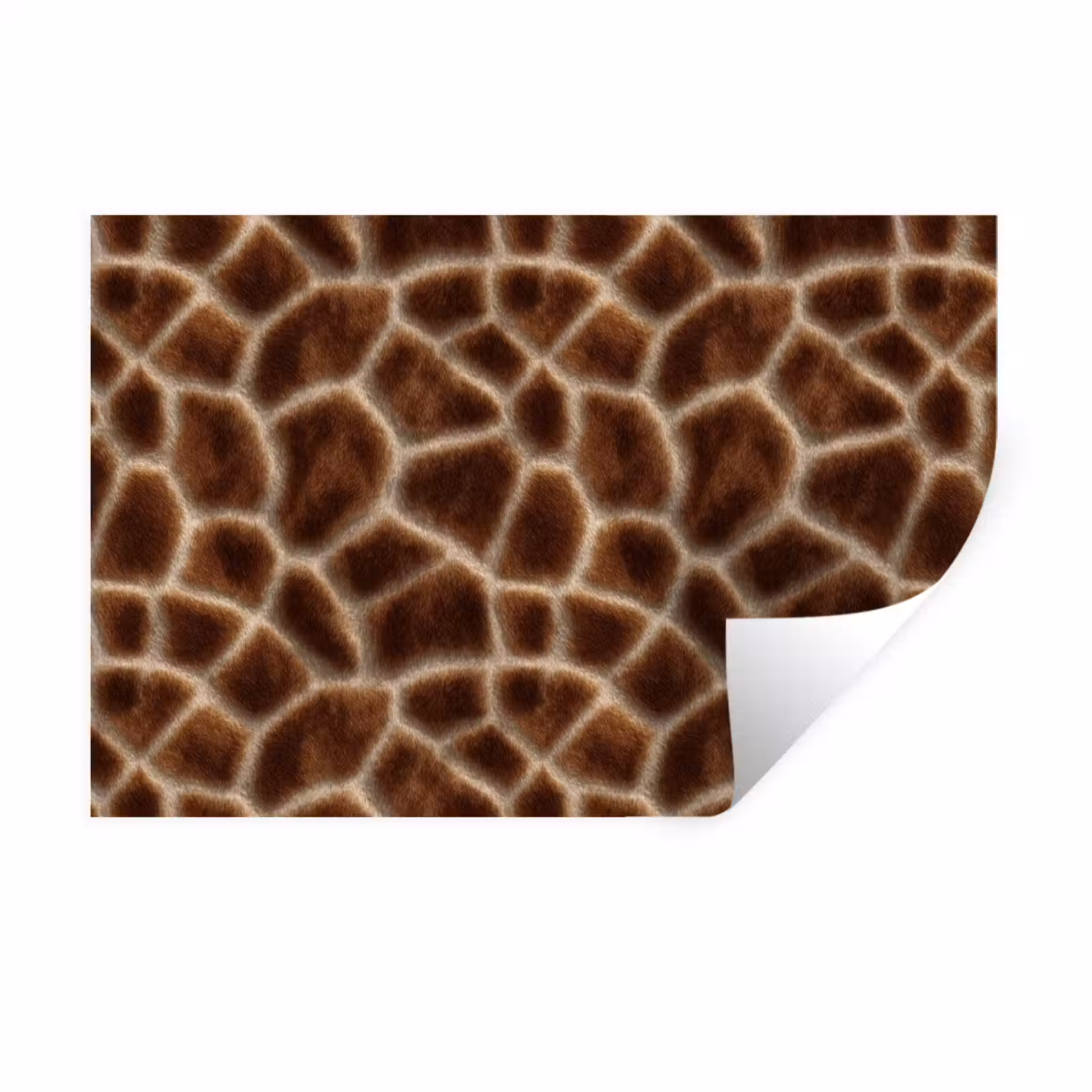 Muursticker - Giraf - Bruin - Vacht — 1