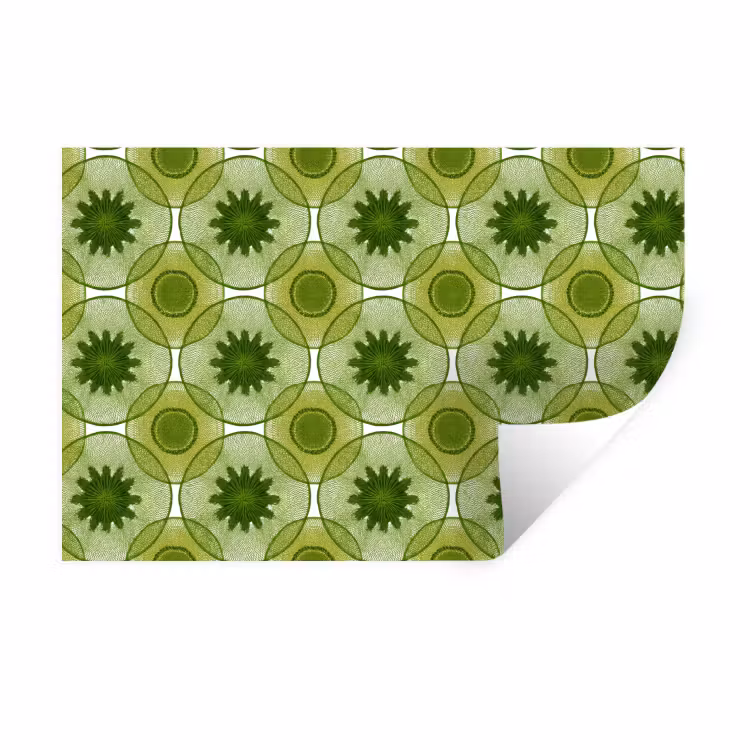 Muursticker - Cirkels - Patroon - Groen — 1