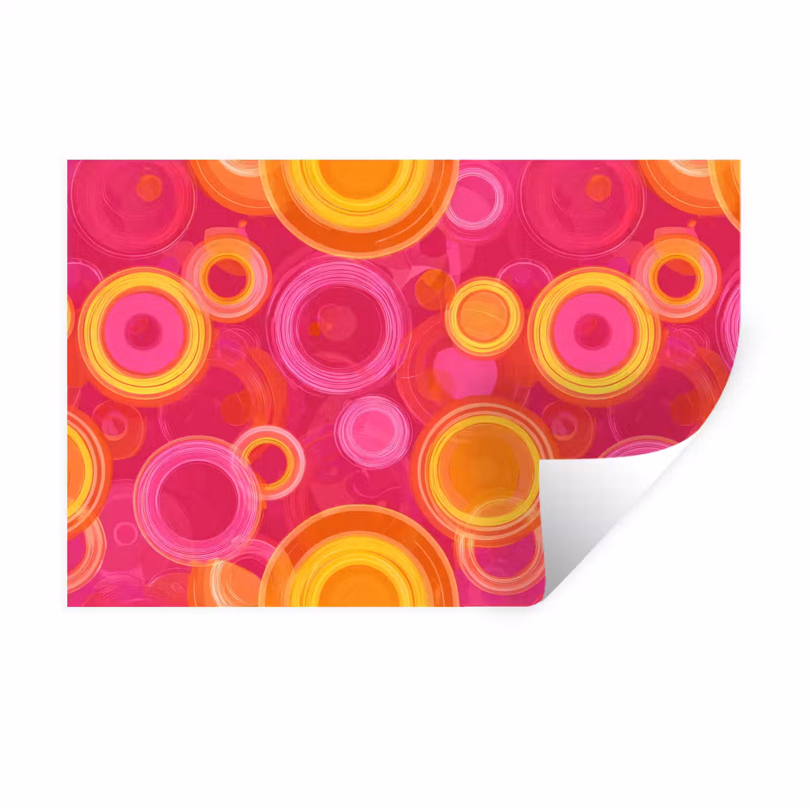 Muursticker - Cirkels - Design - Kleurrijk — 1