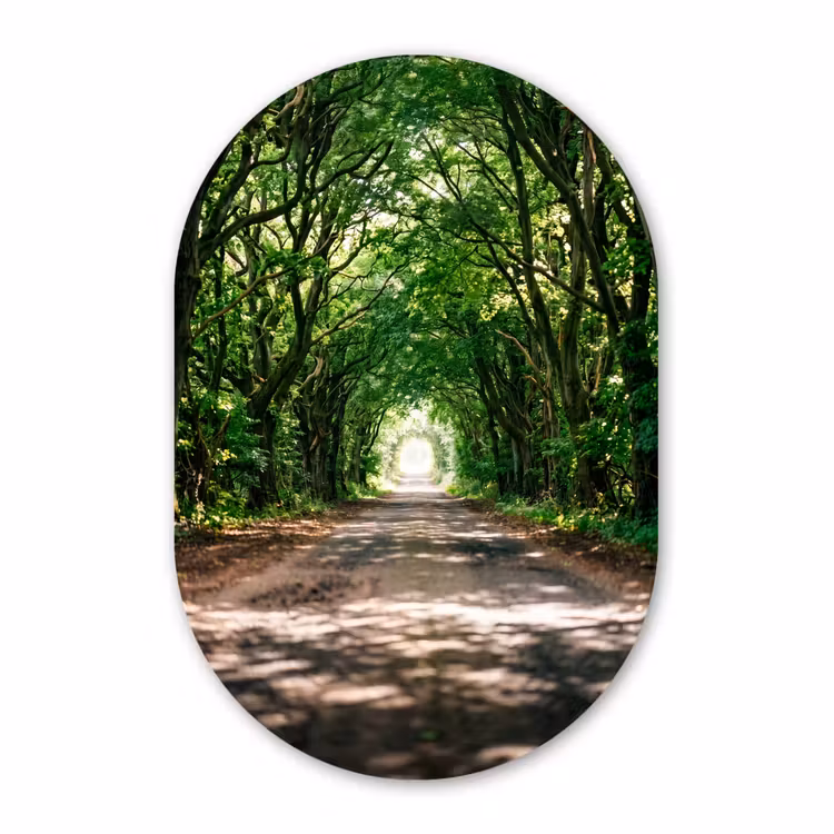 Muurovaal - Kunststof - Weg - Bomen - Natuur - Groen — 3