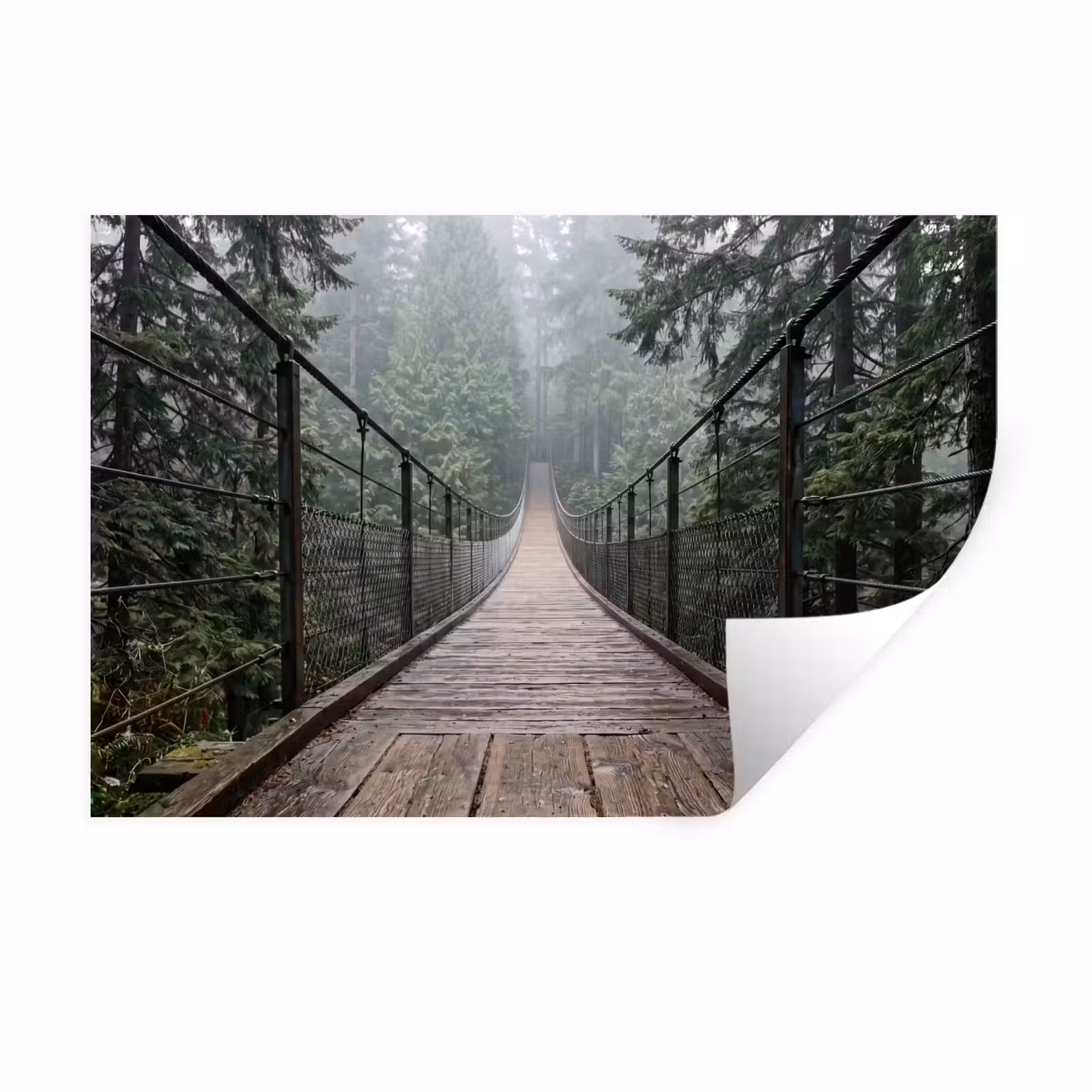 Muursticker - Brug - Bos - Mist - Natuur — 1