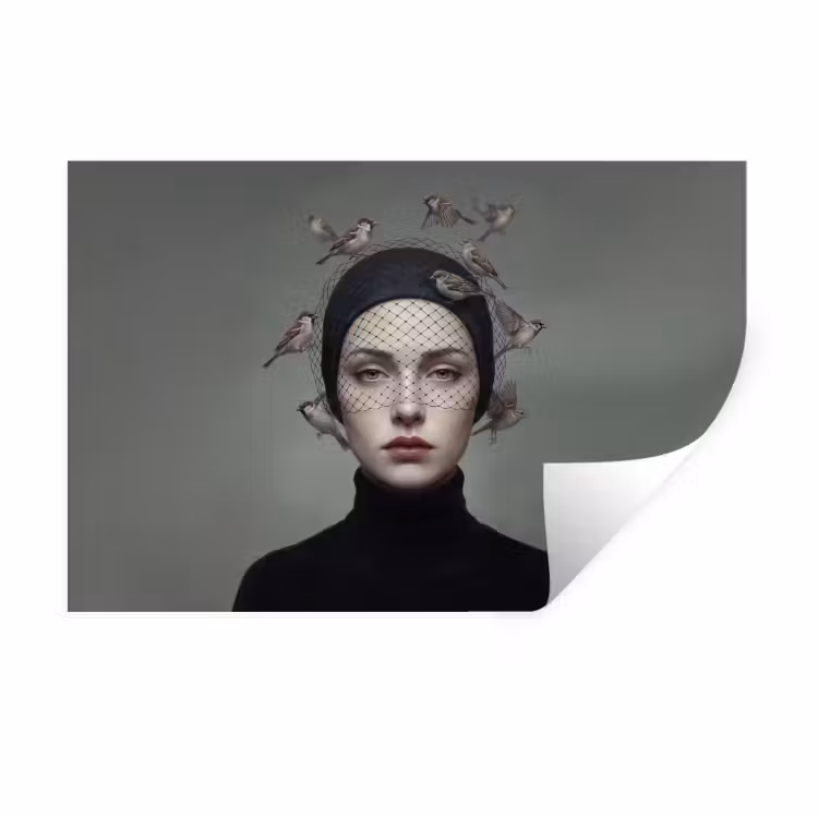Muursticker - Portret - Vogels - Zwart — 1
