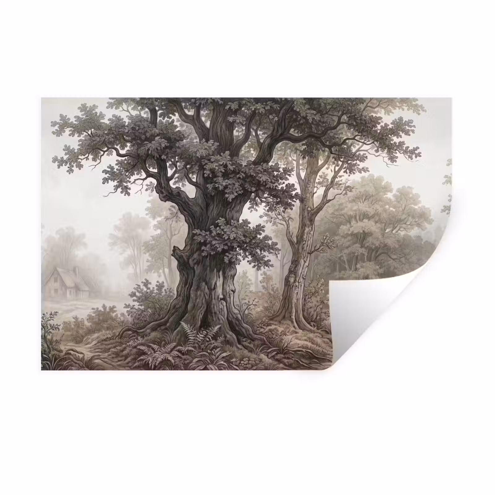 Muursticker - Natuur - Bos - Eik — 1
