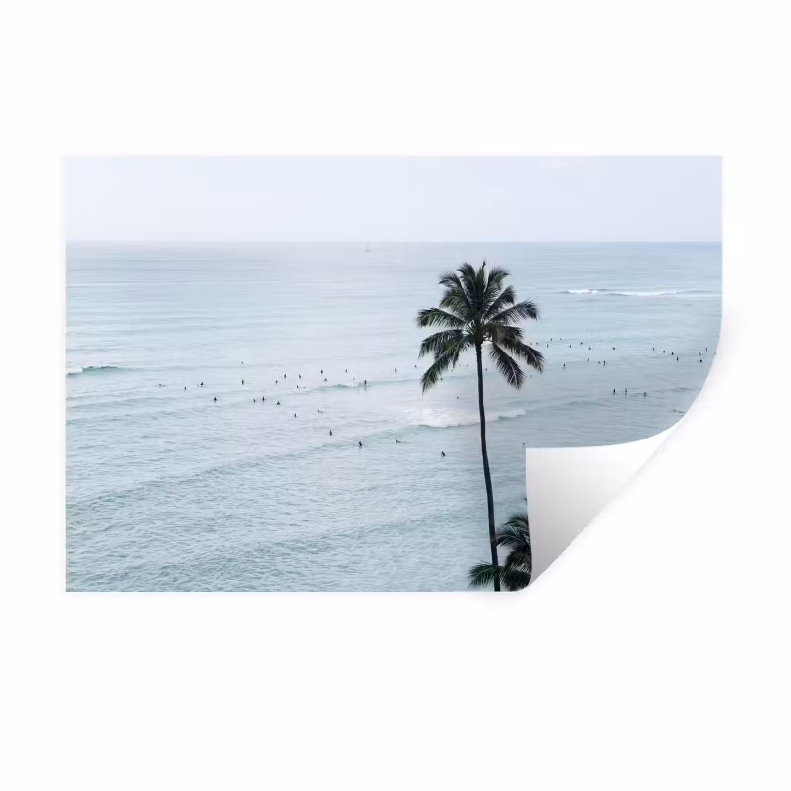 Muursticker - Oceaan - Palmbomen - Surfers — 1