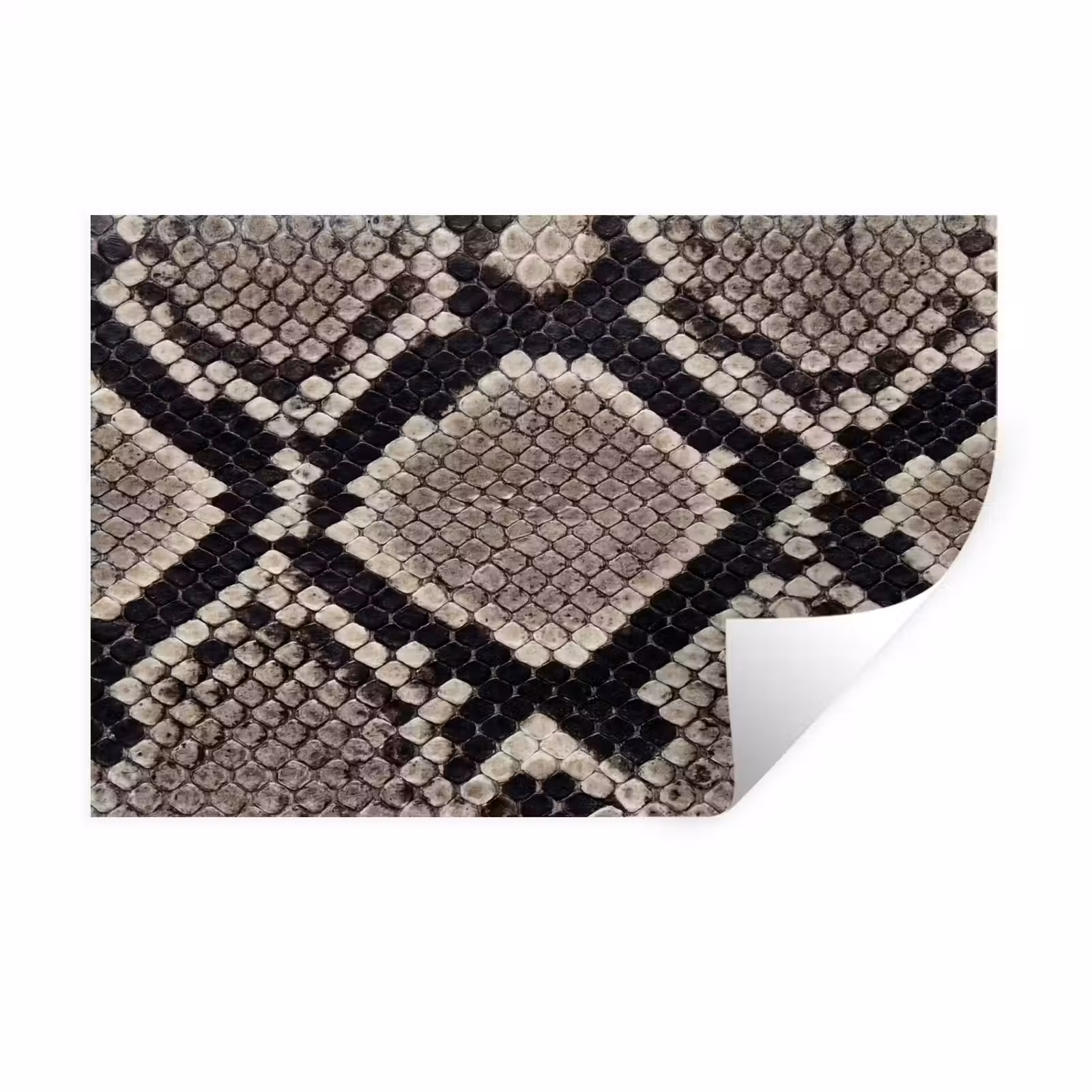 Muursticker - Slangenleer - Patroon - Beige — 1
