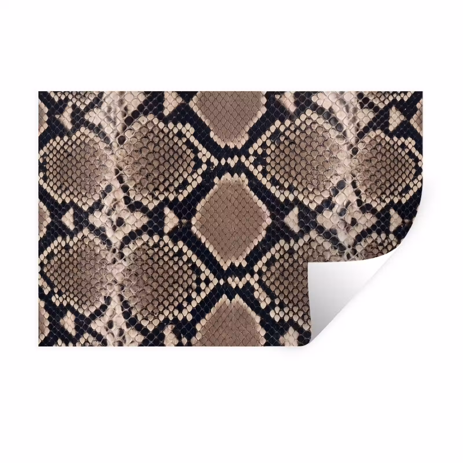 Muursticker - Slangenprint - Python - Bruin — 1