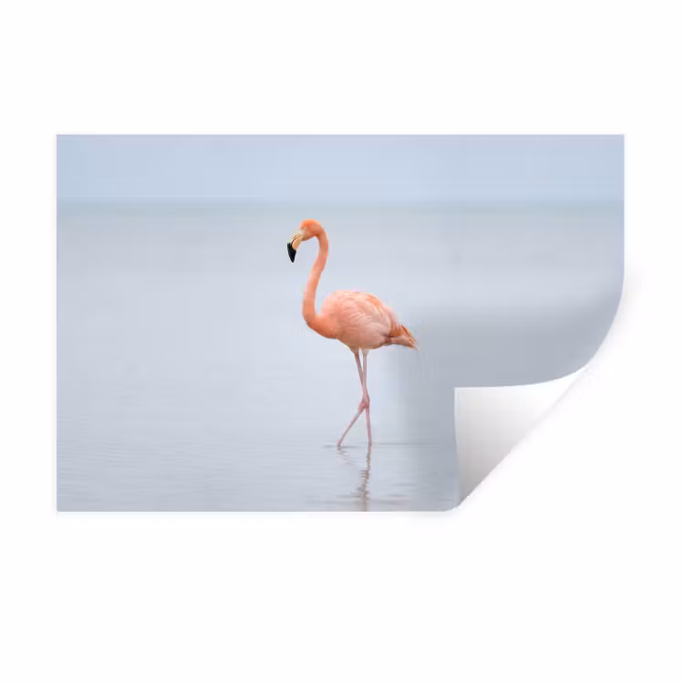 Muursticker - Flamingo - Zee - Roze — 1