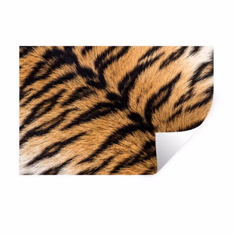 Muursticker - Realistisch - Tijgervacht - Zwart — 1