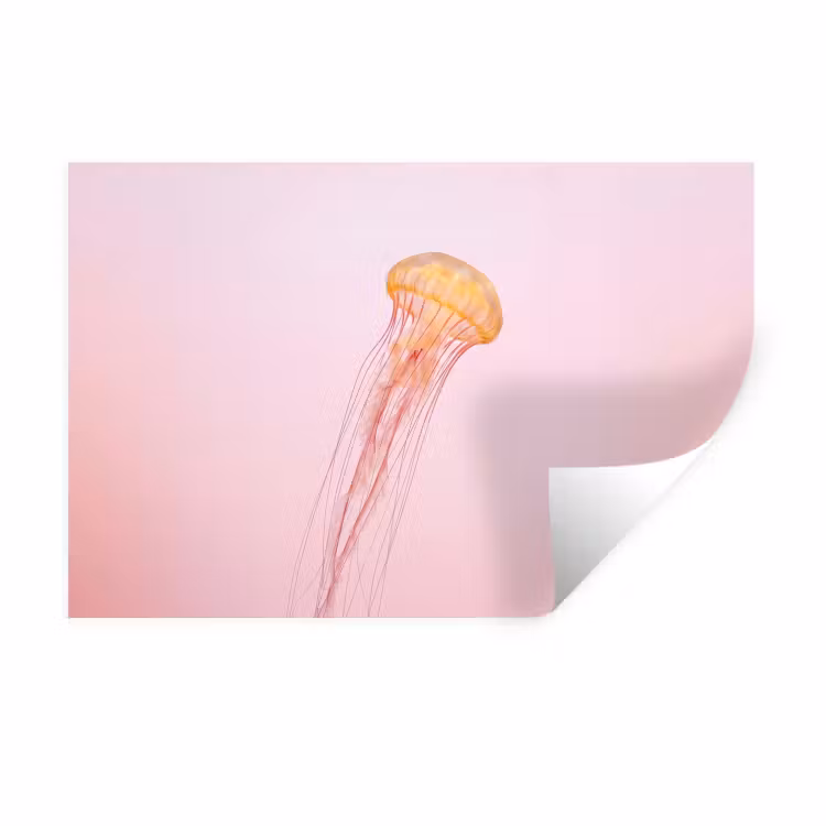 Muursticker - Sierlijk - Kwal - Roze — 1