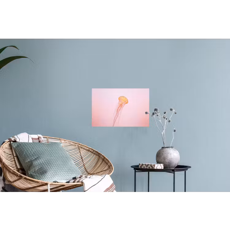 Muursticker - Sierlijk - Kwal - Roze — 4