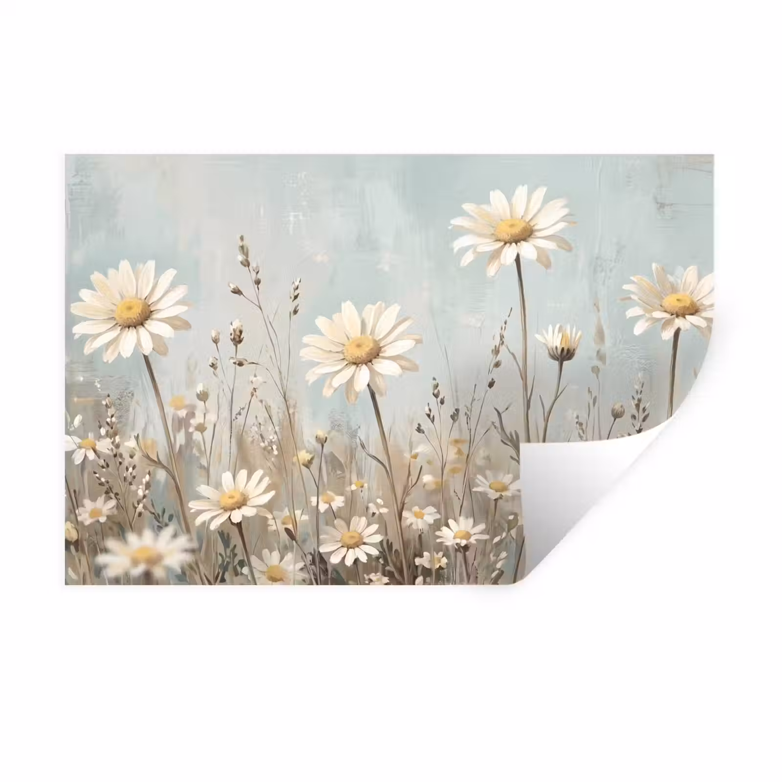 Muursticker - Madelief - Illustratie - Wit — 1