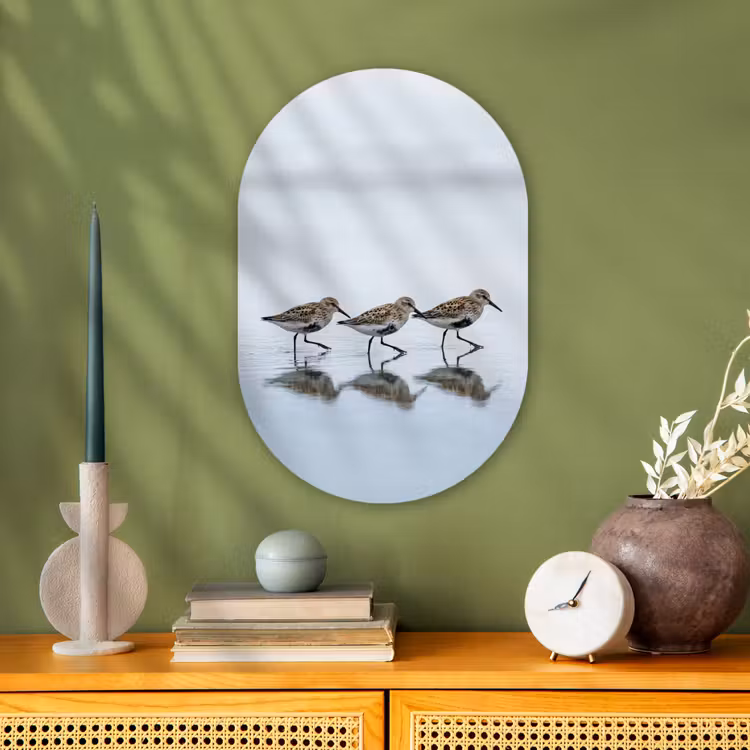 Muurovaal - Kunststof - Vogels - Water - Grijs — 2