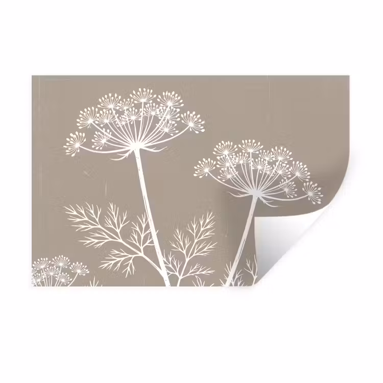 Muursticker - Grafisch - Fluitenkruid - Taupe — 1