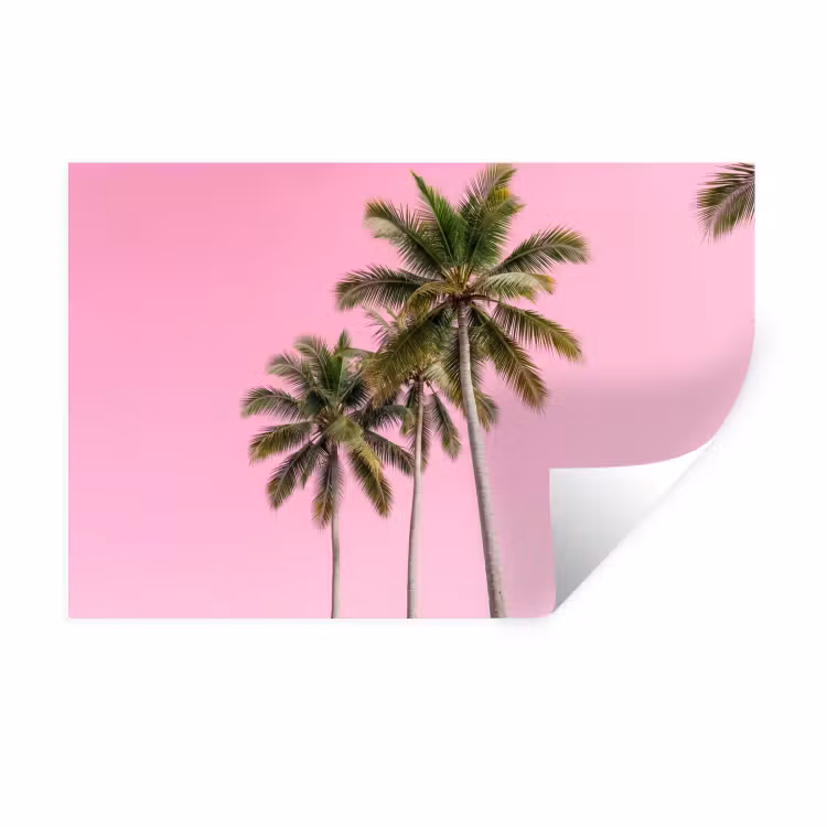 Muursticker - Palmboom - Tropisch - Pink — 1