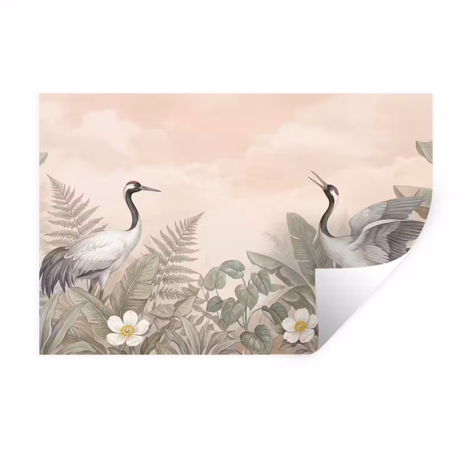 Muursticker - Kraanvogels - Natuur - Roze — 1