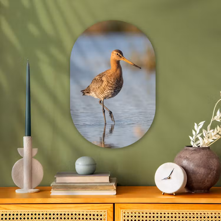 Muurovaal - Kunststof - Vogel - Steltloper - Water - Natuur — 2
