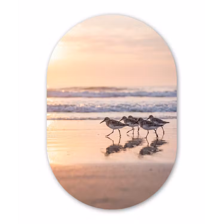 Muurovaal - Kunststof - Zee - Vogels - Strand — 3