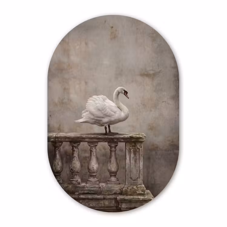 Muurovaal - Kunststof - Zwaan - Elegant - Dieren - Wit — 3