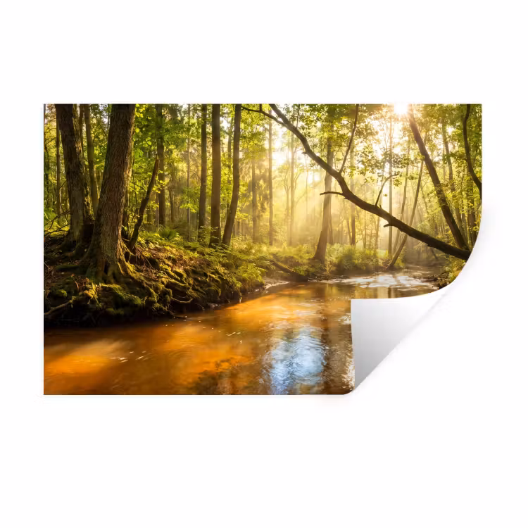 Muursticker - Bos - Beek - Zonlicht - Natuur - Groen — 1