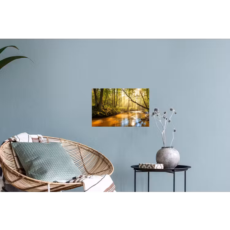 Muursticker - Bos - Beek - Zonlicht - Natuur - Groen — 4
