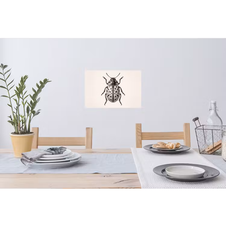 Muursticker - Kever - Insect - Vintage — 3