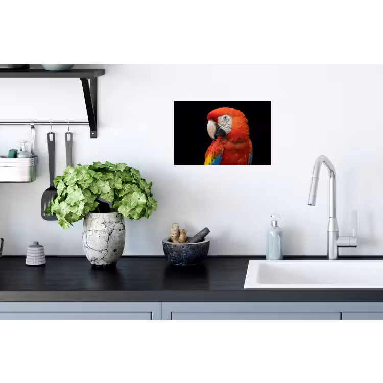 Muursticker - Ara - Portret - Rood — 2