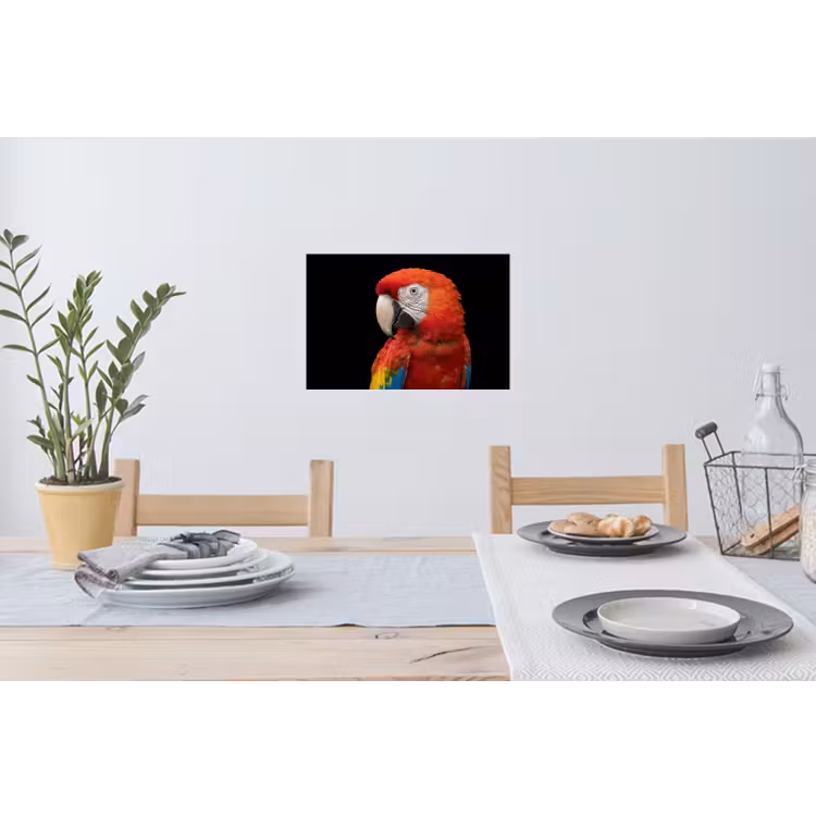 Muursticker - Ara - Portret - Rood — 3