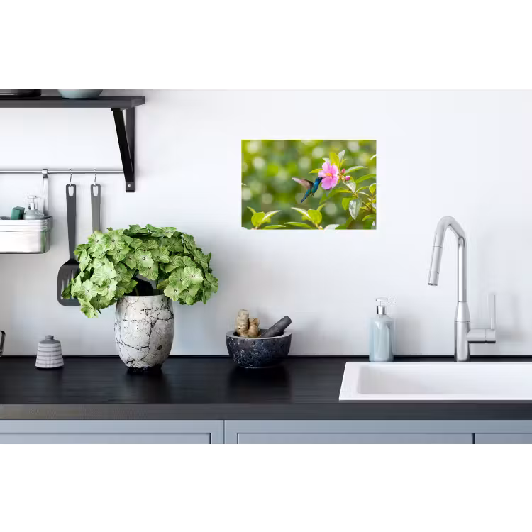 Muursticker - Kolibrie - Bloem - Natuur - Groen — 2