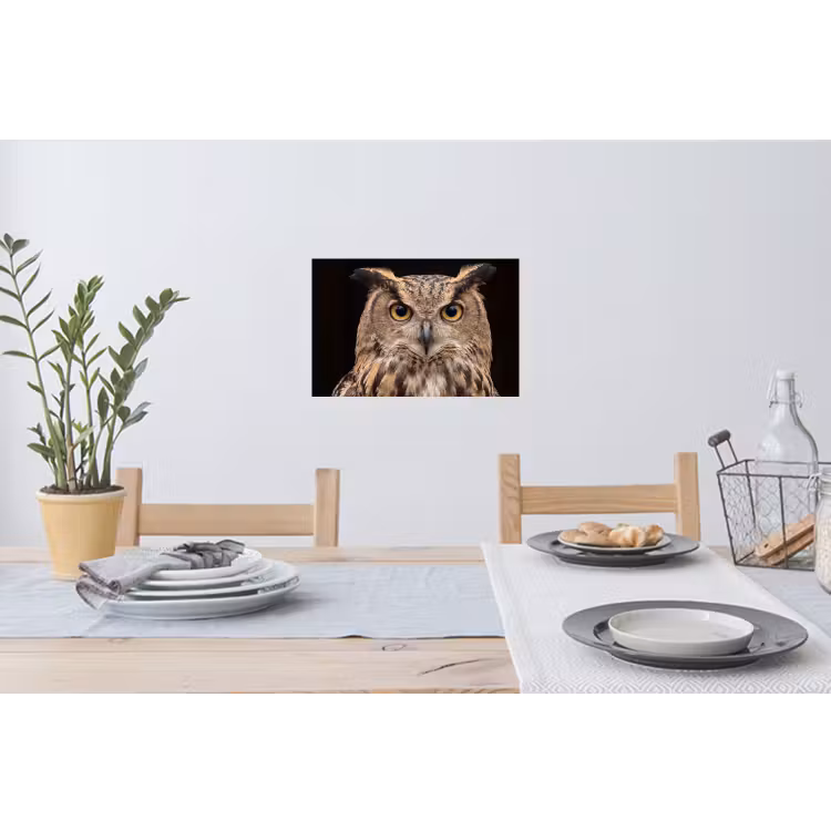 Muursticker - Oehoe - Uil - Portret - Bruin — 3