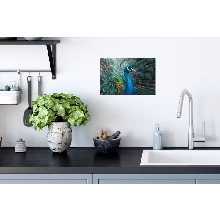 Muursticker - Pauw - Veren - Blauw — 2