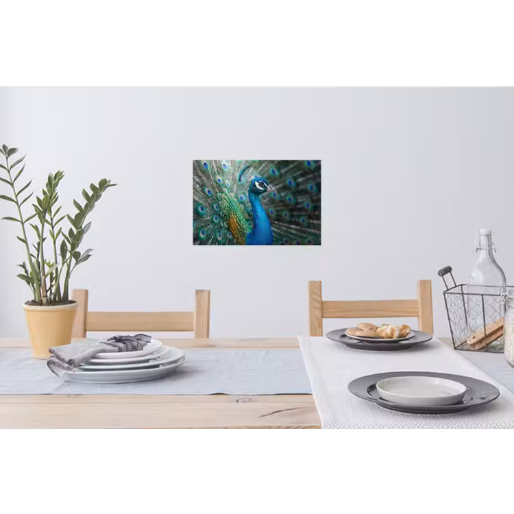 Muursticker - Pauw - Veren - Blauw — 3