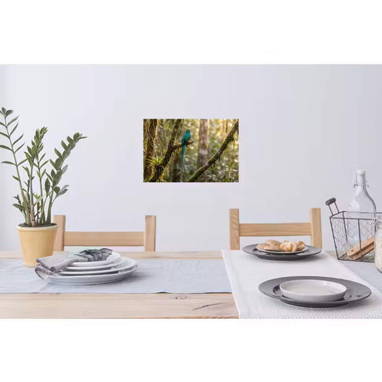 Muursticker - Quetzal - Jungle - Natuur - Groen — 3