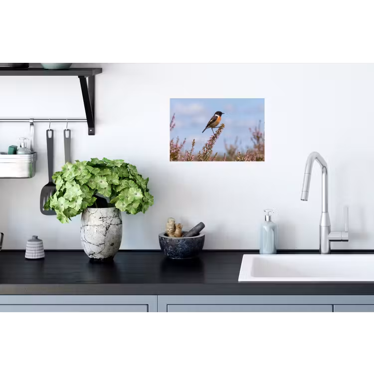 Muursticker - Roodborsttapuit - Heide - Paars - Natuur - Sfeervol — 2