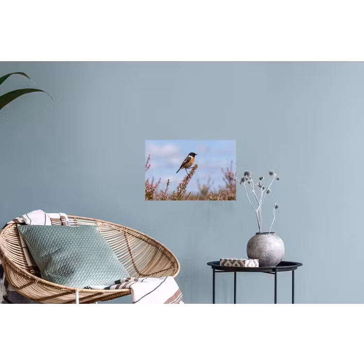 Muursticker - Roodborsttapuit - Heide - Paars - Natuur - Sfeervol — 4